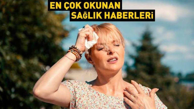 668e383bdf483b2b995316c6