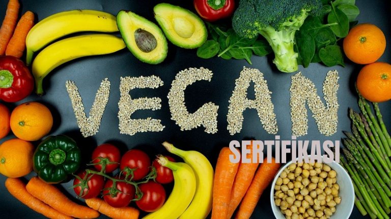Vegan Belgesi Sürecinde Dikkat Edilmesi Gerekenler