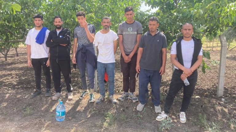 Edirne’de 26 kaçak göçmen yakalandı