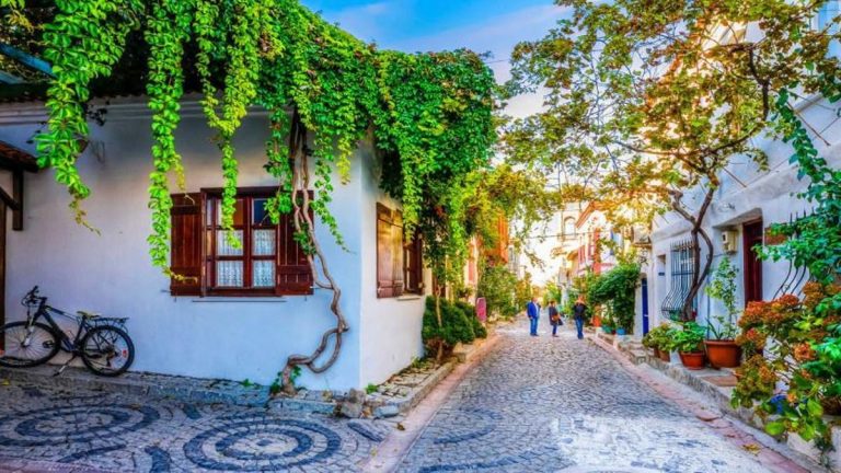 60bf4154d265a226442ca7ac