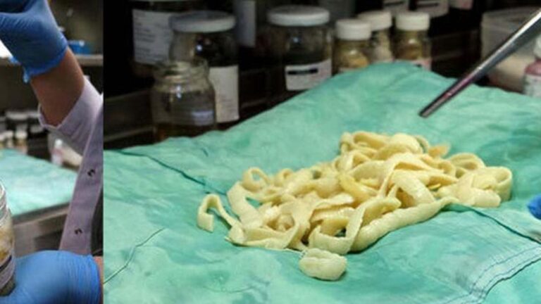 603584dcbf21452218b75ee0