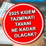 TFR KUMAŞ OCAK 2025 HESAPLANMASI | Kamu çalışanı ve kıdem tazminatı tavanı ne kadar ve ne kadar artacak? Yeni TFR açıklandı, ne zaman açıklanacak?