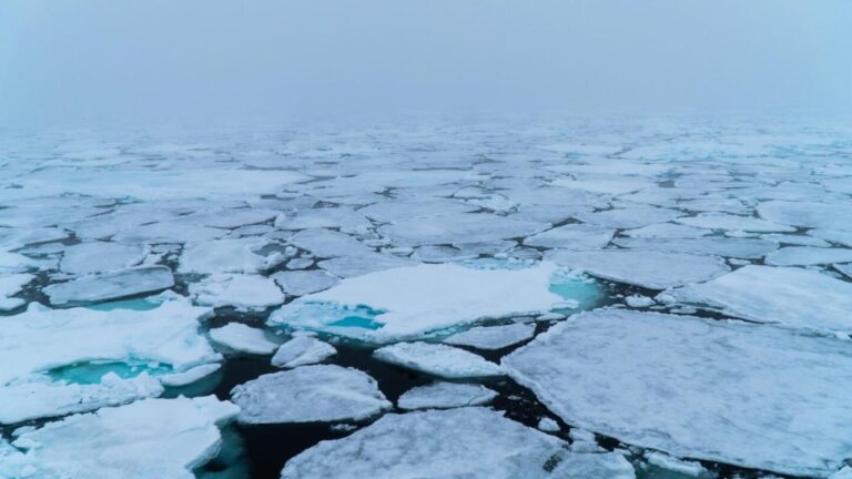 Kuzey Kutbu Buz Kapsam Alarmları: Son 40 yılın en düşük seviyesinde