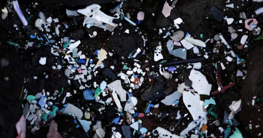 Okyanusun her katmanında mikroplastik bulundu