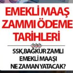 4A, 4B, 4C EMEKLİ MAAŞI ZAM FARKI ÖDEME TARİHİ 2025 | SSK, BAĞKUR, Emekli Sandığı emekli zam farkı zaman yatacak, yattı mı, ayın kaçında verilecek? SGK tahsis numarasına göre emekli aylığı ödeme günleri!