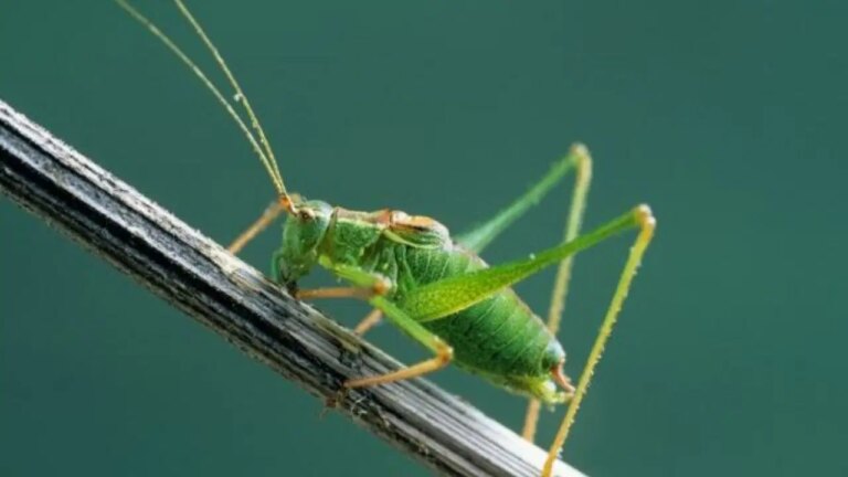 c4ffec17 dc19 400f 8440 cd7eeb6e5b28