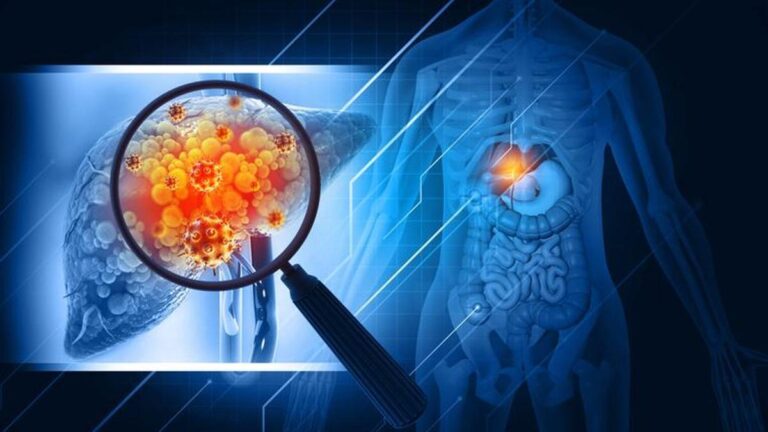 68a02b53b44f4720522dd7e4