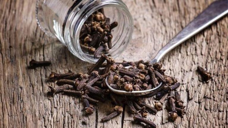 65283930a4686022b4af4941