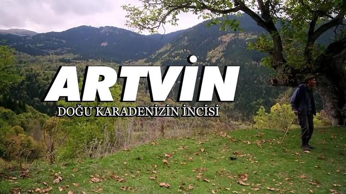 Doğanın kalbine gizlenmiş sır: Artvin 1 68ebaae2d931a03263cbf1a3